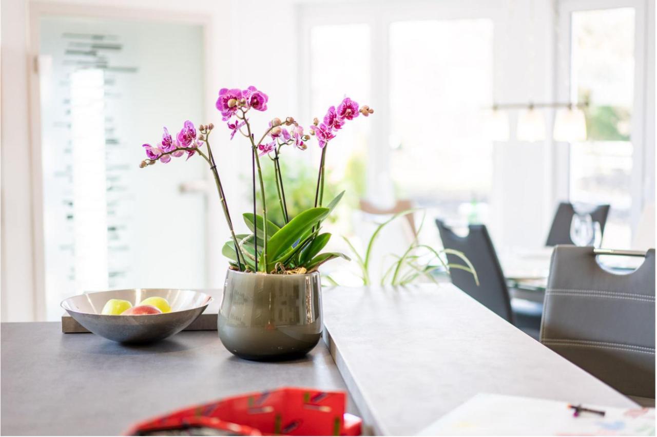 Ferienwohnung Birkenried Reisensburg Εξωτερικό φωτογραφία