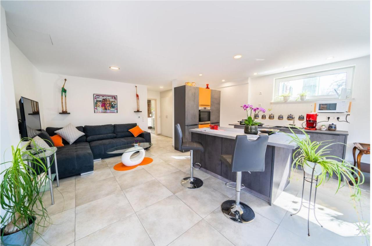 Ferienwohnung Birkenried Reisensburg Εξωτερικό φωτογραφία
